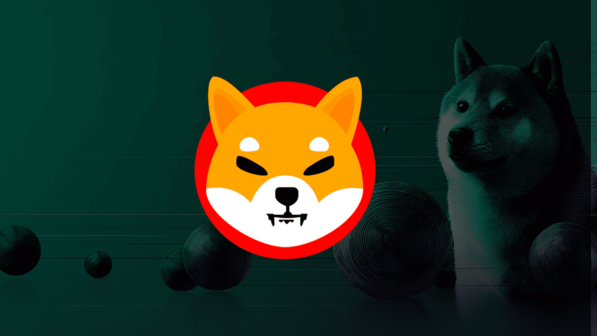 Shiba Inu guide